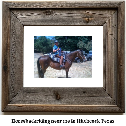 horseback riding near me in Hitchcock, Texas